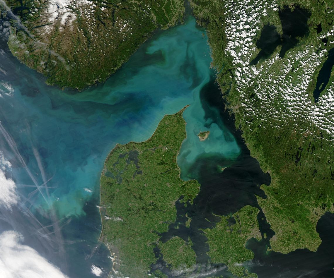 Algal bloom seen from space