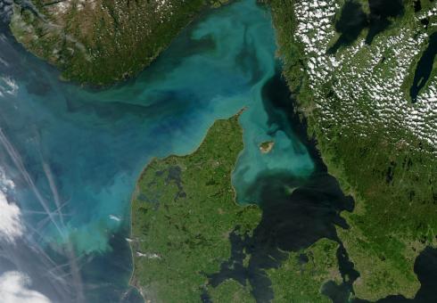 Algal bloom seen from space
