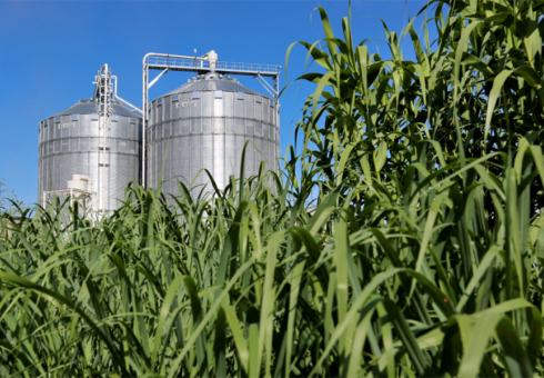Study shows how smart policies could address competing land-use needs