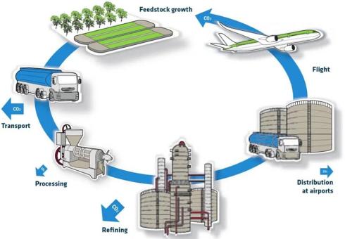 Sustainable decarbonization of aviation in Latin America