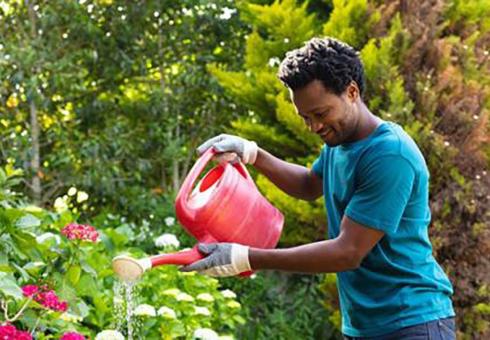 Fighting climate change, one yard at a time