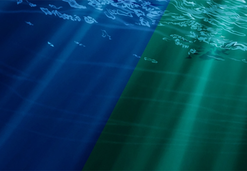 Some marine photoplankton can adapt to changing light, altering ocean ecosystems and, potentially, carbon storage, finds a study co-authored by MIT CS3 Senior Research Scientist Stephanie Dutkiewicz (Source: NASA)