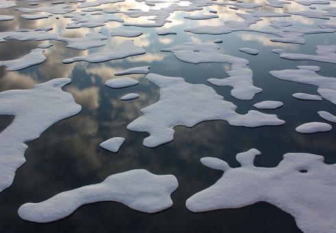 Arctic ice melt