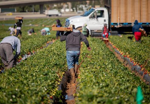 10 New Insights In Climate Science 2025/2026