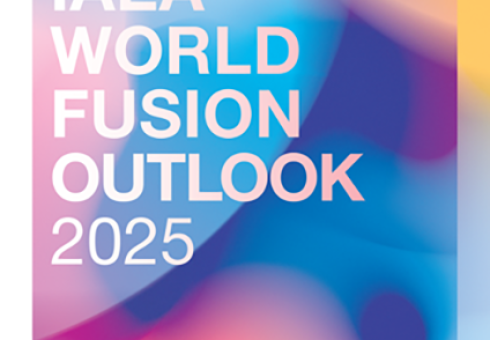IAEA World Fusion Outlook 2025