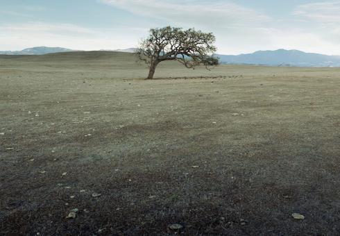 10 New Insights In Climate Science 2025