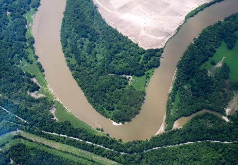 Forestry carbon credit programs have a poor track record