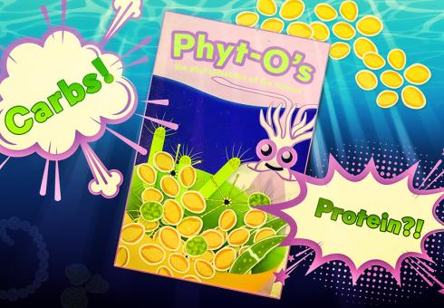 Climate change may produce "fast food" phytoplankton