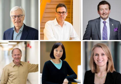 Six MIT faculty members elected to National Academy of Sciences