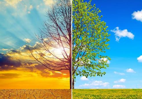 Two possible futures (one dryer, one wetter) projected by different climate scenarios