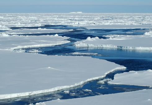 Sea ice