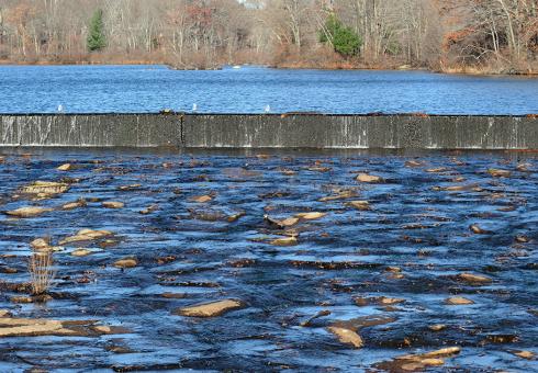 1013217227-MIL_LouisaLakeDam3_WEB.jpg