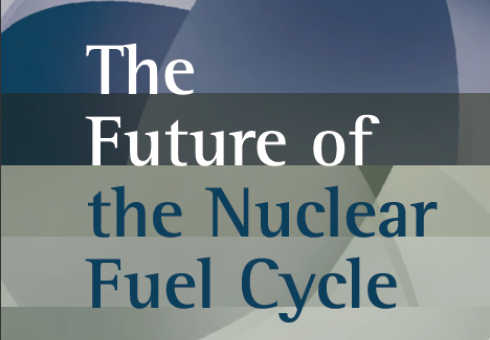 Future of Nuclear Fuel Cycle