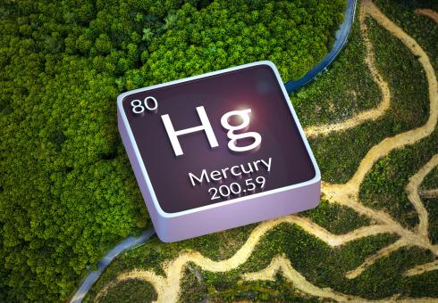 Researchers studied the impact of deforestation on the global mercury cycle.