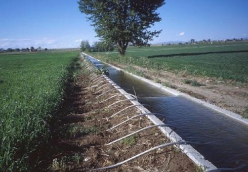 Agricultural irrigation