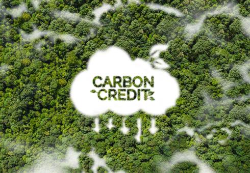 How effective are carbon trading systems are in reducing global emissions?