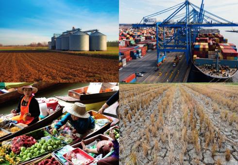 MIT_J-WAFS_2022_Food_Research_Project_WEB.jpg 