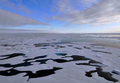arctic