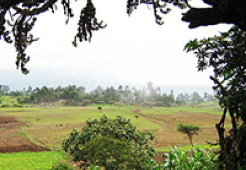 ethiopia