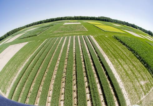 kellogg-biological-station-mit-irrigation-water-study-00_0_WEB.jpg