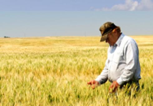 Our optimism is rooted in the ingenuity of the world&rsquo;s farmers. 